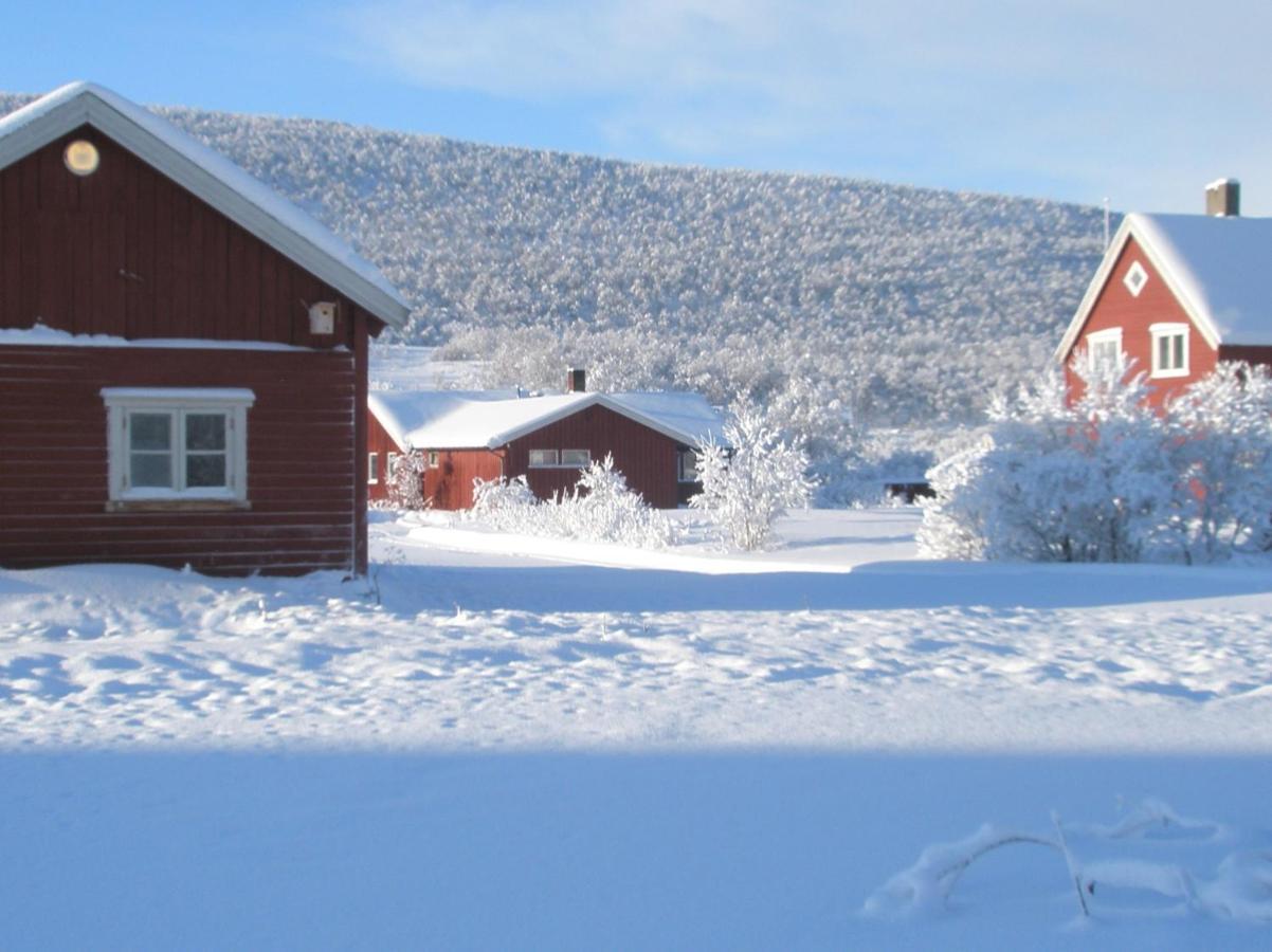 Austertana Varanger Kite Camp מראה חיצוני תמונה